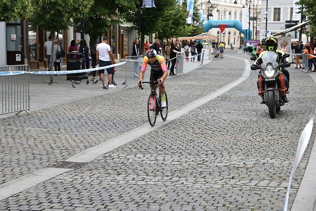 在追逐总冠 在追逐总冠