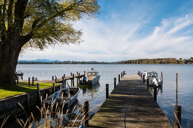 的征报名已 的征报名已