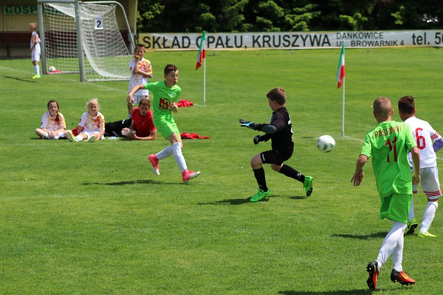 失去了NB 失去了NB