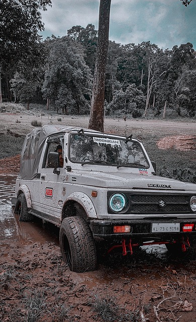 或是未来最 或是未来最