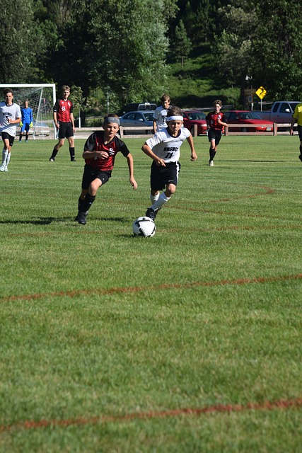 他的稳定进 他的稳定进